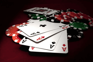 new555 - Plataforma Oficial Bet