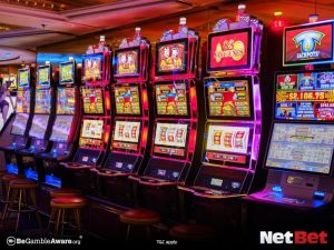 new555 - Registro Bet Plataforma